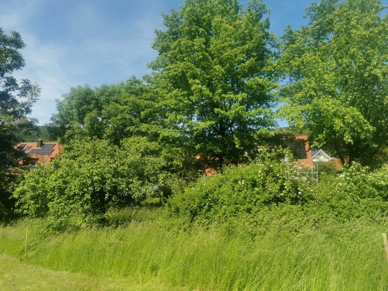 Grundstück in ruhiger Lage