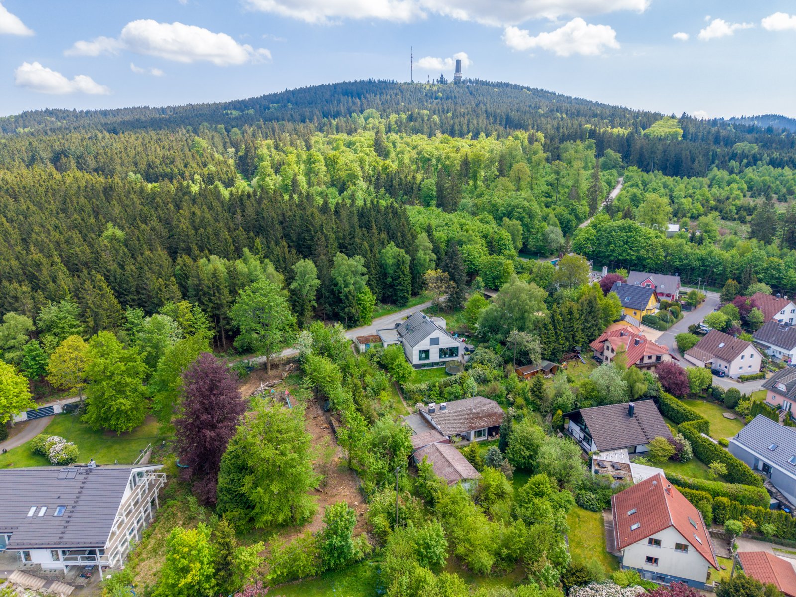 Feldbergnahe Lage