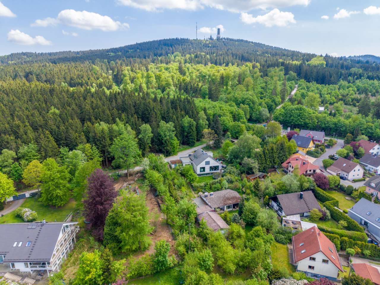Feldbergnahe Lage